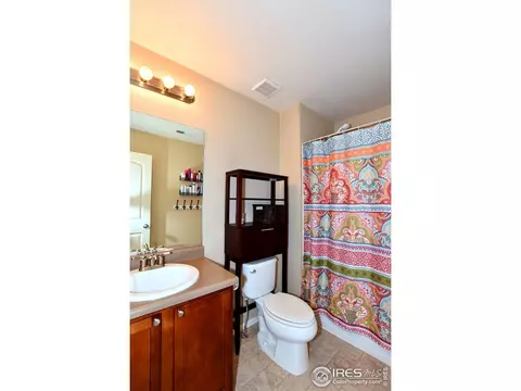 554 Edenbridge Dr, Windsor, CO 80550 photo 22
