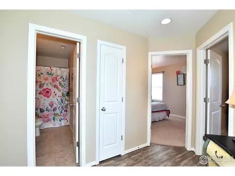 554 Edenbridge Dr, Windsor, CO 80550 photo 18