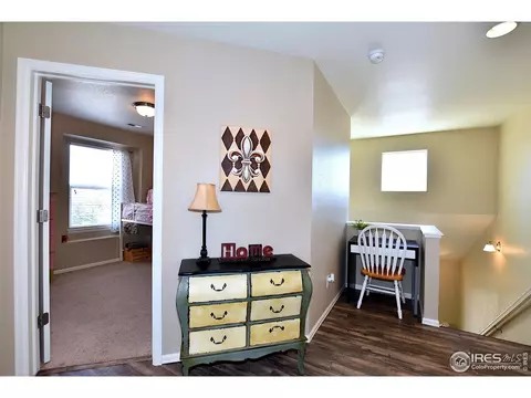 554 Edenbridge Dr, Windsor, CO 80550 photo 17