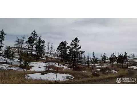 1756 Eiger Rd, Livermore, CO 80536 photo 5