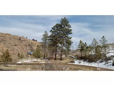 1756 Eiger Rd, Livermore, CO 80536 photo 3