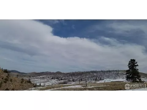1756 Eiger Rd, Livermore, CO 80536 photo 8