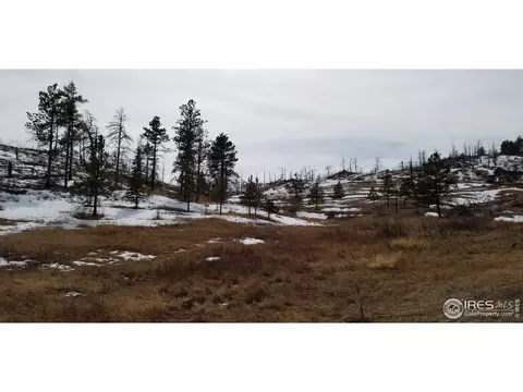 1756 Eiger Rd, Livermore, CO 80536 photo 9