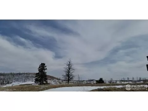 1756 Eiger Rd, Livermore, CO 80536 photo 6