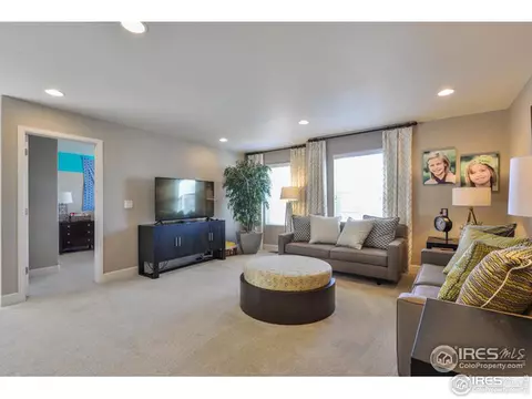 367 Mannon Dr, Windsor, CO 80550 photo 15