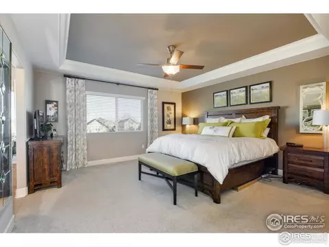 367 Mannon Dr, Windsor, CO 80550 photo 18