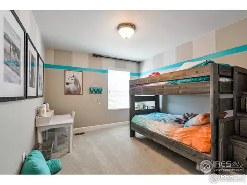 367 Mannon Dr, Windsor, CO 80550 photo 26