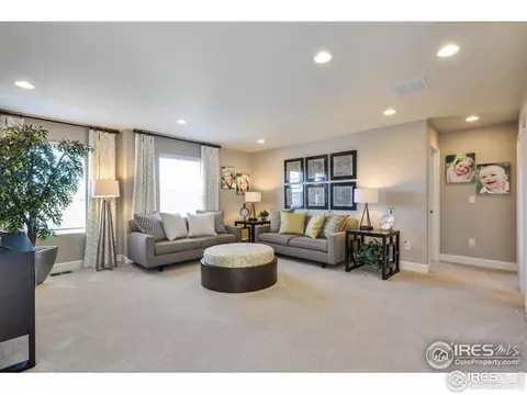 367 Mannon Dr, Windsor, CO 80550 photo 16