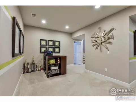 367 Mannon Dr, Windsor, CO 80550 photo 34