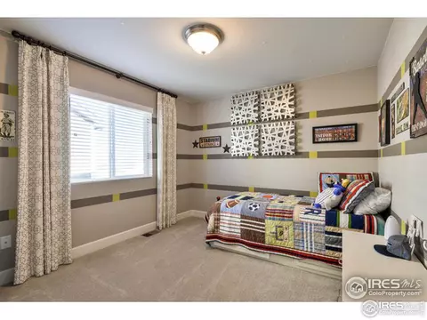 367 Mannon Dr, Windsor, CO 80550 photo 28