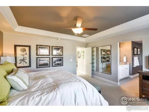 367 Mannon Dr, Windsor, CO 80550 photo 19