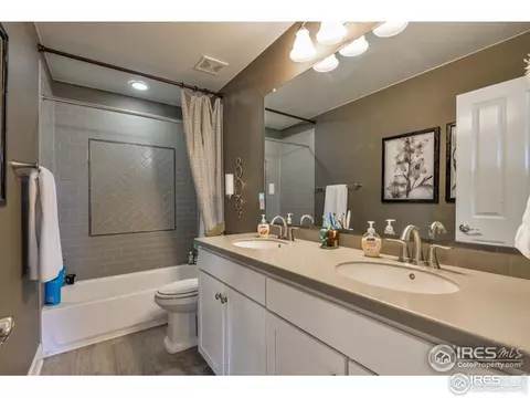 367 Mannon Dr, Windsor, CO 80550 photo 29