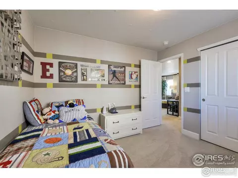 367 Mannon Dr, Windsor, CO 80550 photo 27
