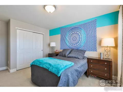 367 Mannon Dr, Windsor, CO 80550 photo 24