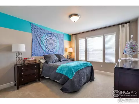 367 Mannon Dr, Windsor, CO 80550 photo 25