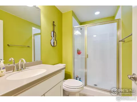367 Mannon Dr, Windsor, CO 80550 photo 35