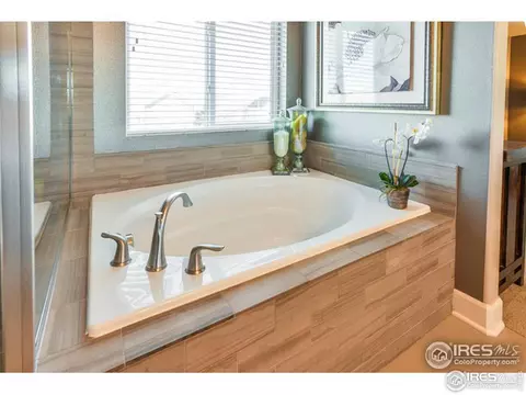 367 Mannon Dr, Windsor, CO 80550 photo 22