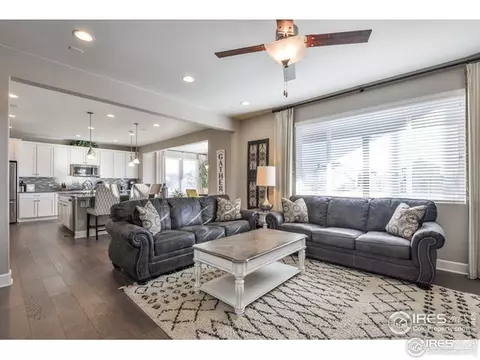 367 Mannon Dr, Windsor, CO 80550 photo 8