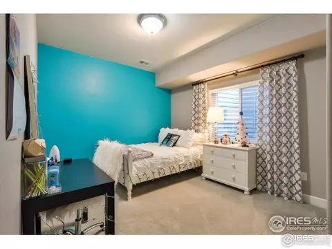 367 Mannon Dr, Windsor, CO 80550 photo 33