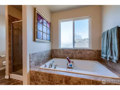 503 Kenai Ct, Windsor, CO 80550 photo 26
