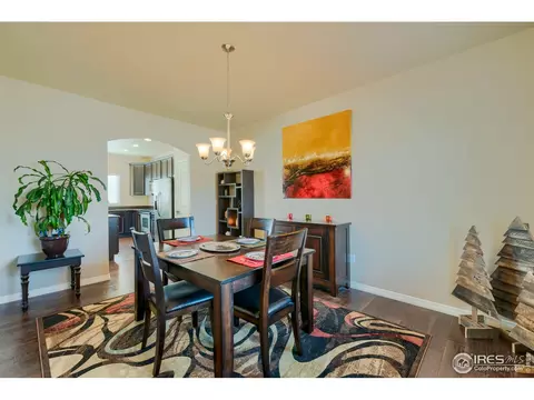 503 Kenai Ct, Windsor, CO 80550 photo 14