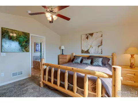 503 Kenai Ct, Windsor, CO 80550 photo 22