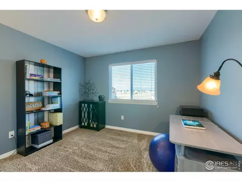 503 Kenai Ct, Windsor, CO 80550 photo 28