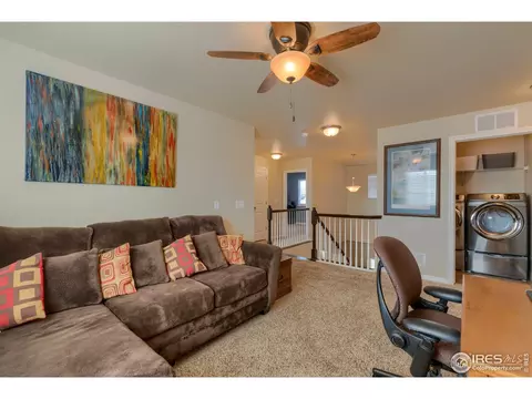 503 Kenai Ct, Windsor, CO 80550 photo 20