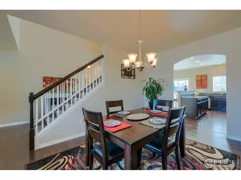 503 Kenai Ct, Windsor, CO 80550 photo 15