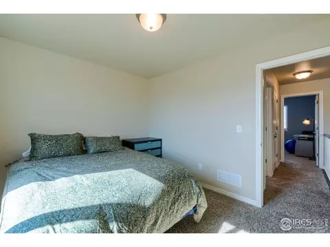 503 Kenai Ct, Windsor, CO 80550 photo 33