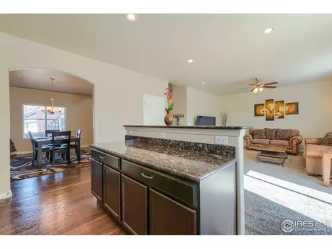 503 Kenai Ct, Windsor, CO 80550 photo 12