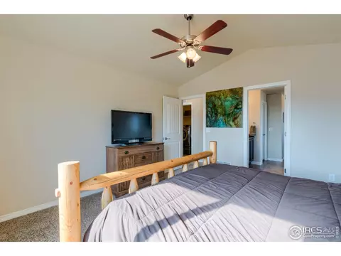 503 Kenai Ct, Windsor, CO 80550 photo 23
