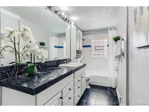 1024 E 14th Ave #7, Denver, CO 80218 photo 10