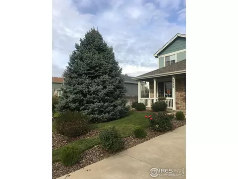 5930 E Conservation Dr, Frederick, CO 80504 photo 31