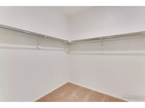 1801 Hydrangea Dr, Windsor, CO 80550 photo 22