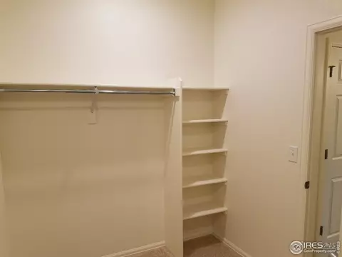 1791 Nightfall Dr, Windsor, CO 80550 photo 15
