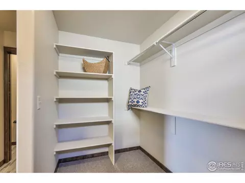 5089 Long Dr, Timnath, CO 80547 photo 20