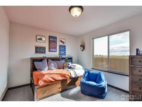 5089 Long Dr, Timnath, CO 80547 photo 24