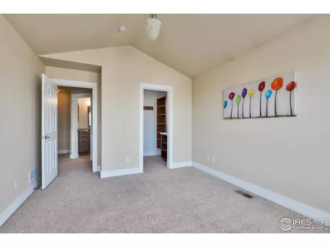 1135 Fairfield Ave, Windsor, CO 80550 photo 23