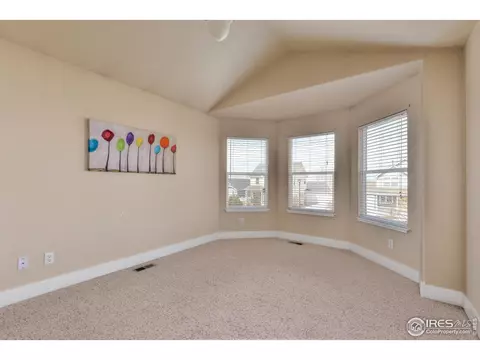 1135 Fairfield Ave, Windsor, CO 80550 photo 24