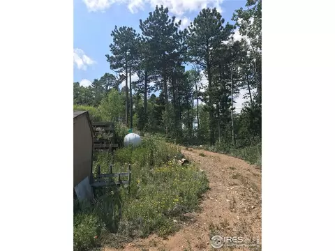 155 Jed Smith Rd, Ward, CO 80481 photo 24