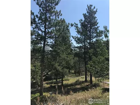 155 Jed Smith Rd, Ward, CO 80481 photo 23