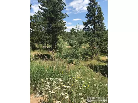 155 Jed Smith Rd, Ward, CO 80481 photo 25