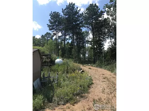 155 Jed Smith Rd, Ward, CO 80481 photo 19