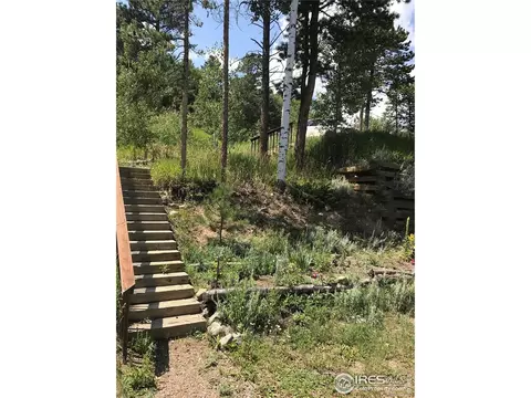 155 Jed Smith Rd, Ward, CO 80481 photo 20