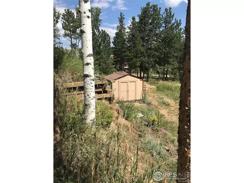 155 Jed Smith Rd, Ward, CO 80481 photo 22