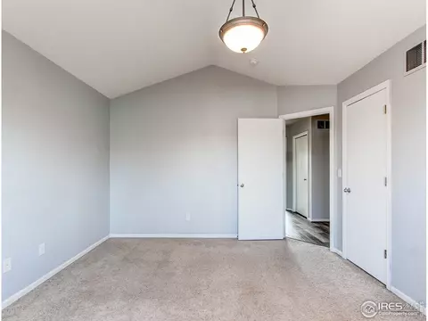 388 Bluegrass Ct, Windsor, CO 80550 photo 19