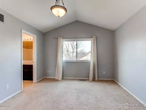 388 Bluegrass Ct, Windsor, CO 80550 photo 21