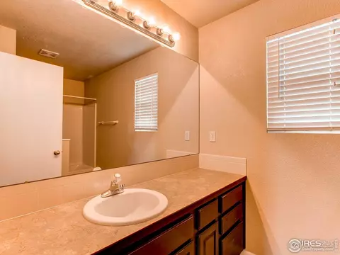 388 Bluegrass Ct, Windsor, CO 80550 photo 15