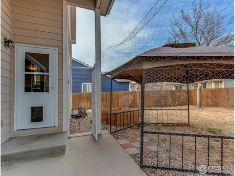 388 Bluegrass Ct, Windsor, CO 80550 photo 27